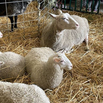 Explore Fiber Events in Washington and Oregon 2025