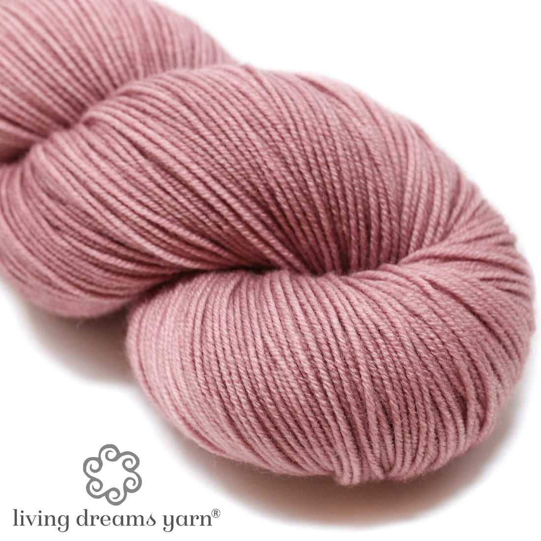 GalileaCassiopeia other image 0