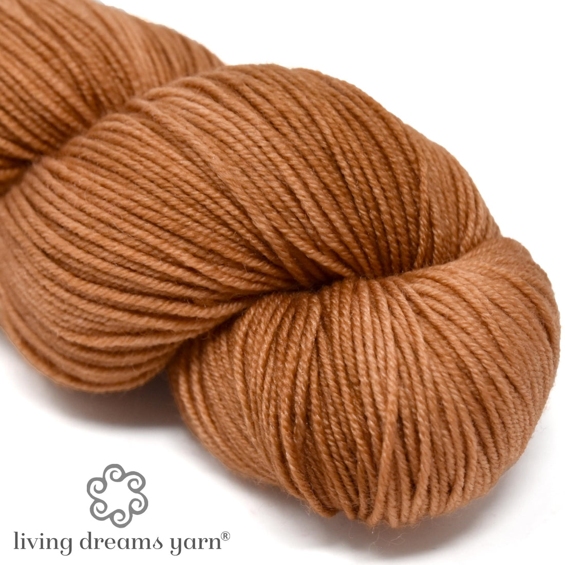 GalileaEquinox other image 0