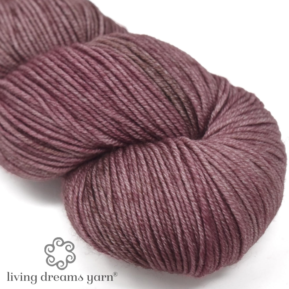 GalileaCapricorn other image 0