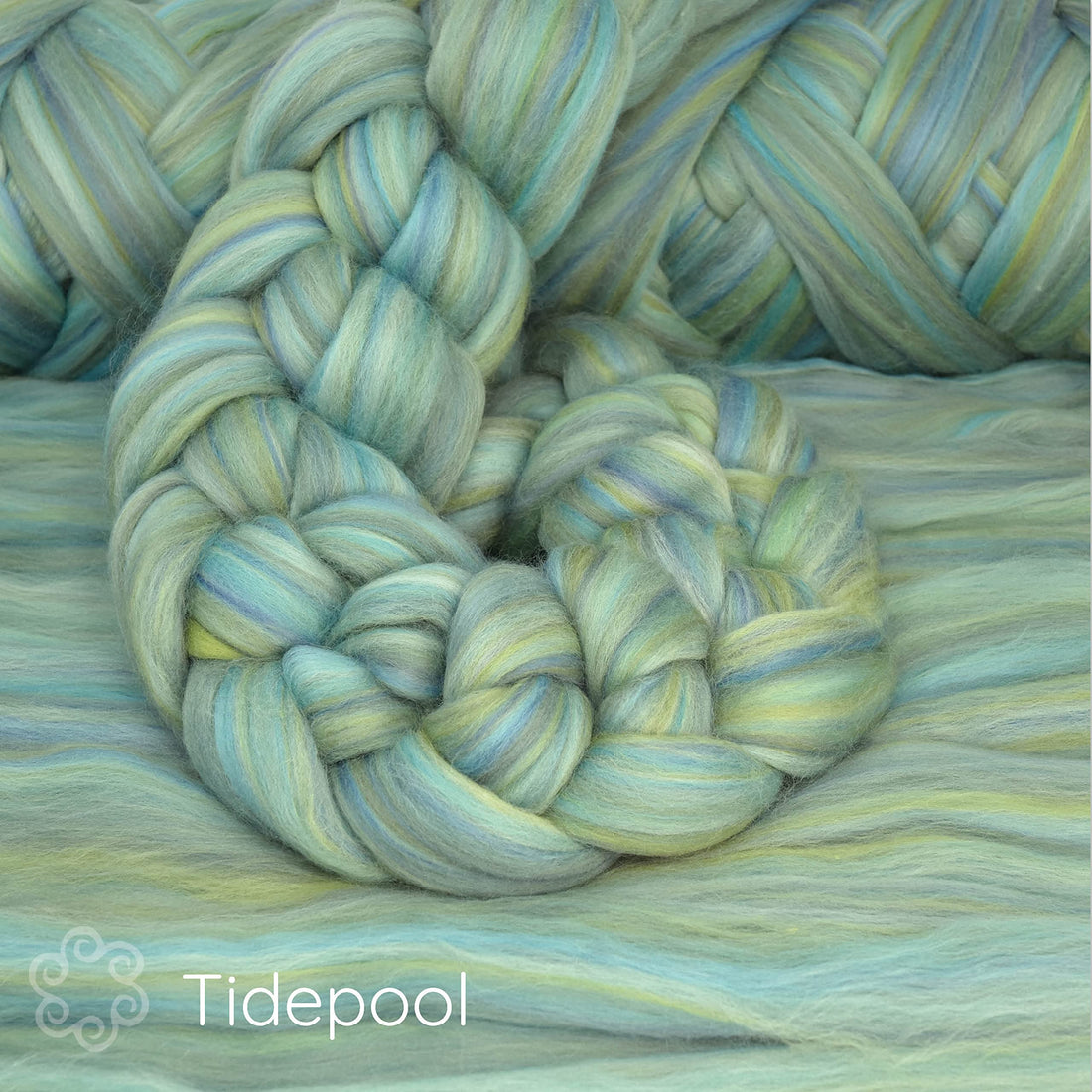 ITFibSFMStidepool other image 1