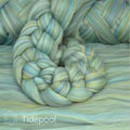 ITFibSFMStidepool other image 1