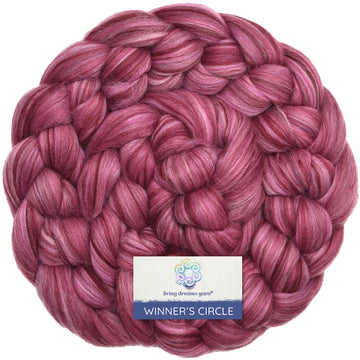Winner's Circle Superfine Merino - Berry Patch
