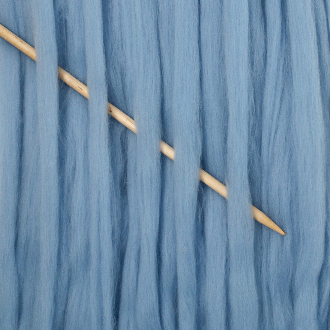 MerPCRbluebird other image 0