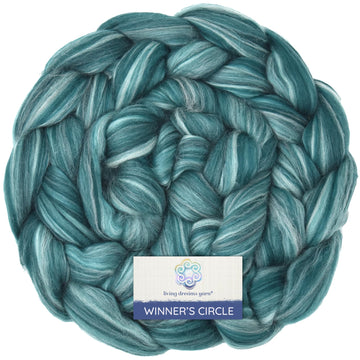 Winner's Circle Superfine Merino - Loch Ness