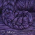 ITFibSFMSlarkspur other image 1
